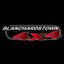 Blanchardstown 4X4 logo
