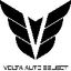 VOLTA AUTO SELECT LTD logo