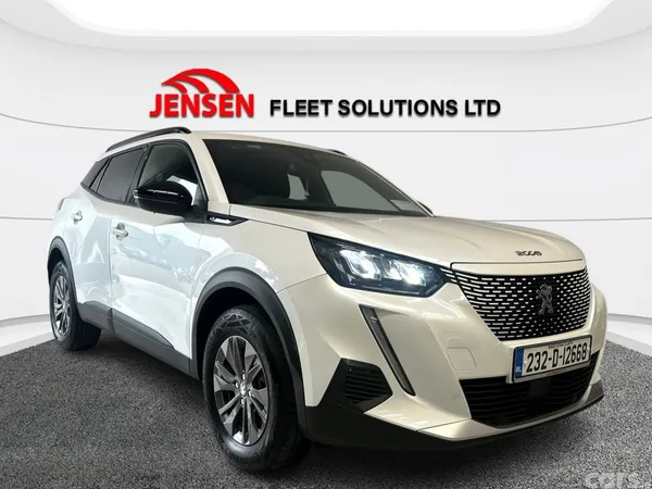 Peugeot 2008 MPV, Electric, 2023, White