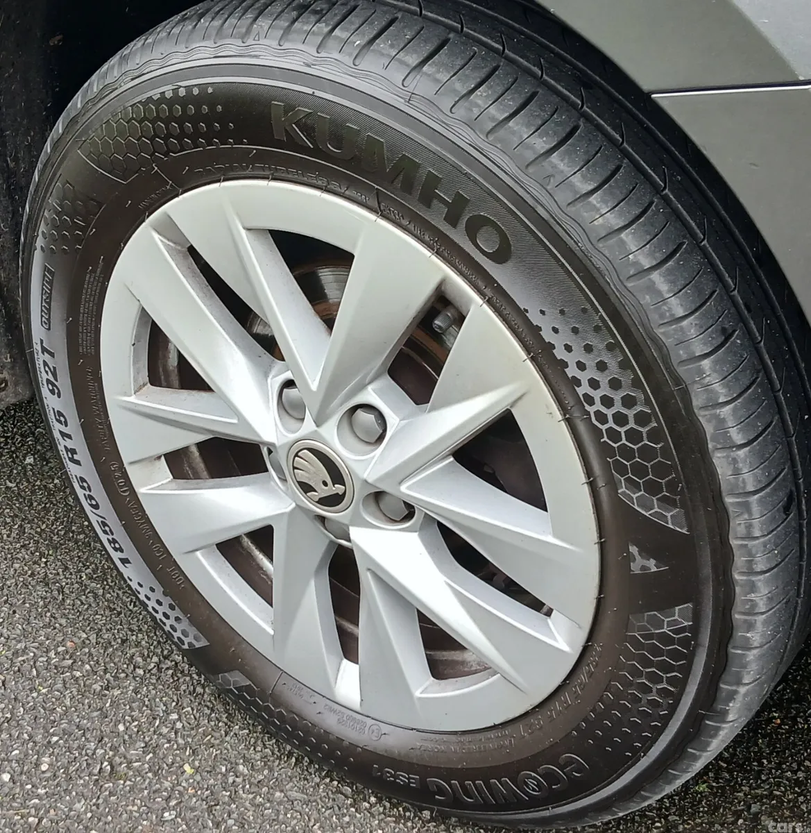 Skoda Fabia Hatchback, Petrol, 2023, Grey