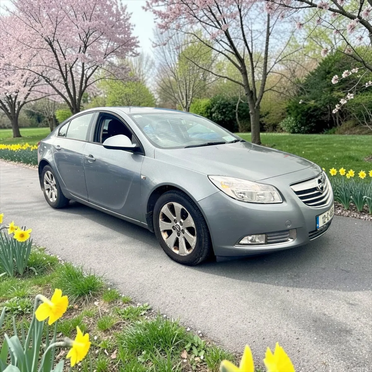 Opel Insignia MPV, Diesel, 2012, Silver