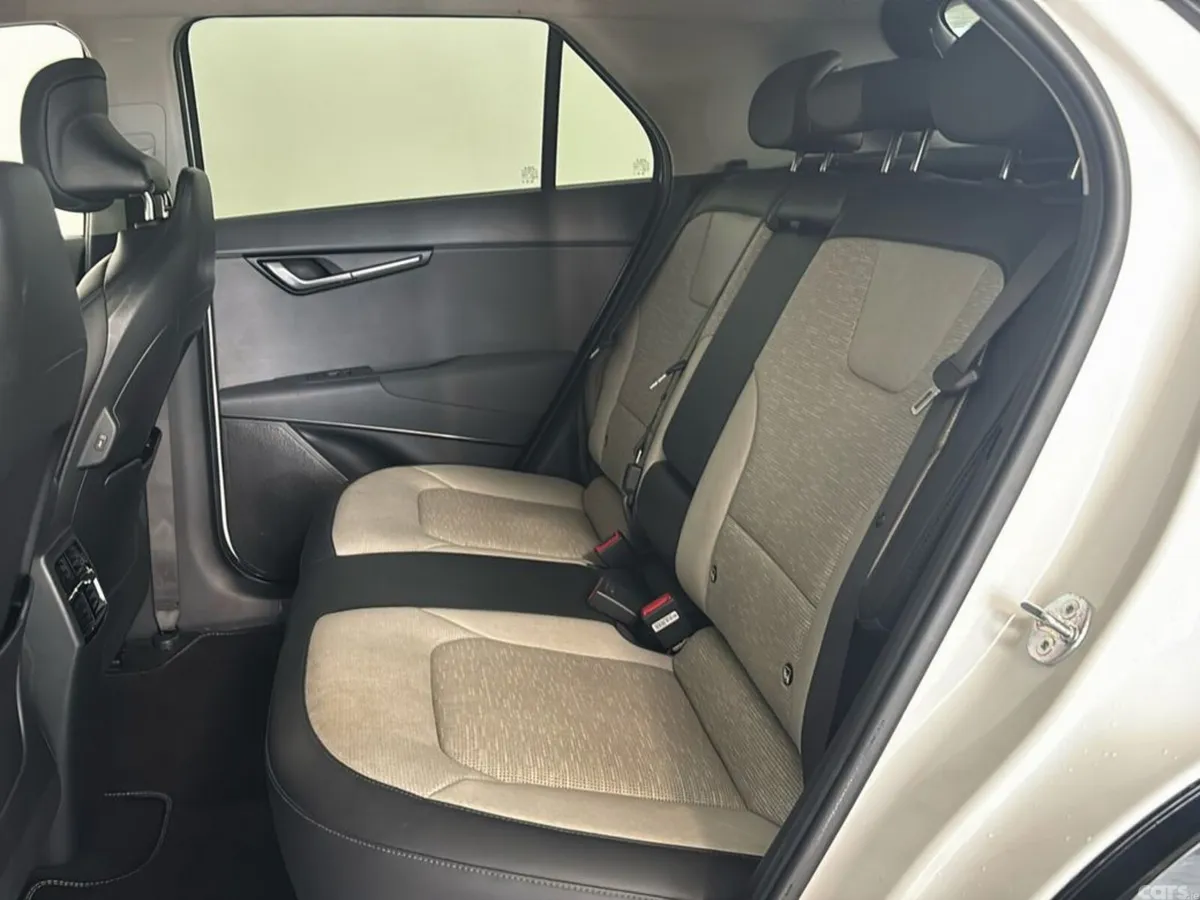 Kia Niro MPV, Electric, 2024, White