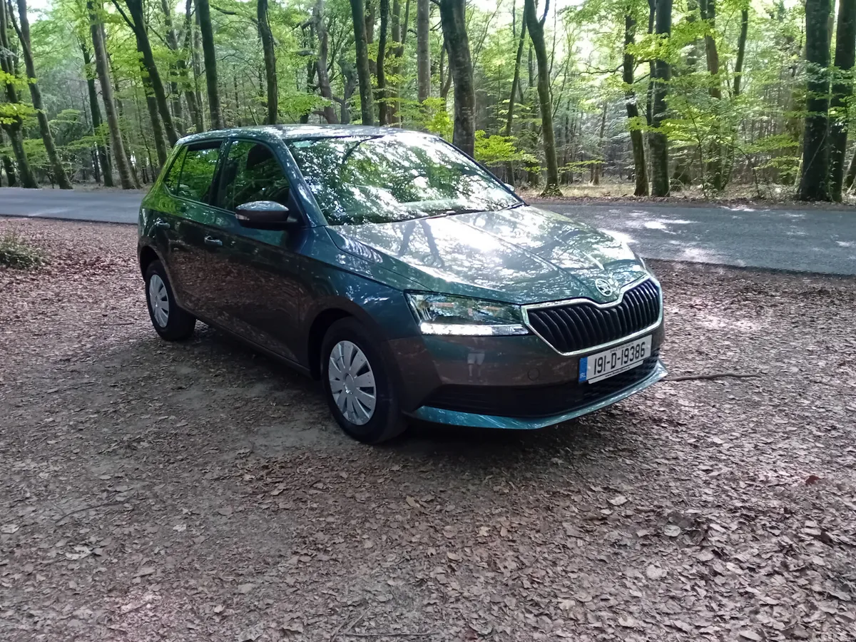 Skoda Fabia Hatchback, Petrol, 2019, Grey
