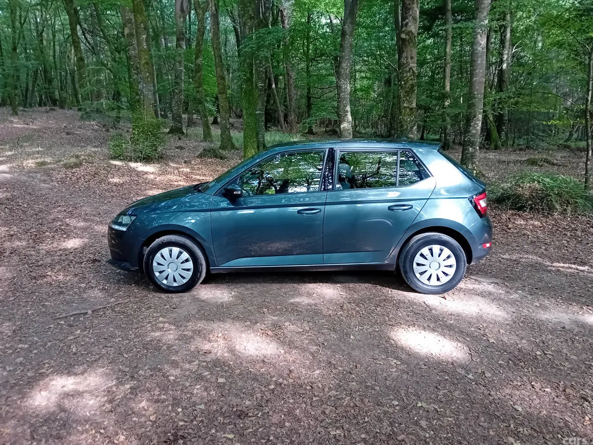 Skoda Fabia Hatchback, Petrol, 2019, Grey