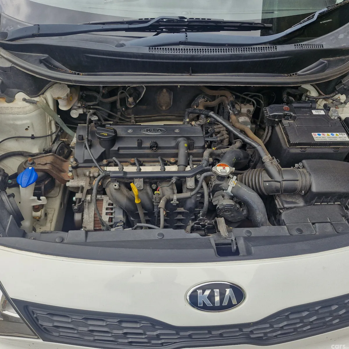 Kia Rio Hatchback, Petrol, 2014, White