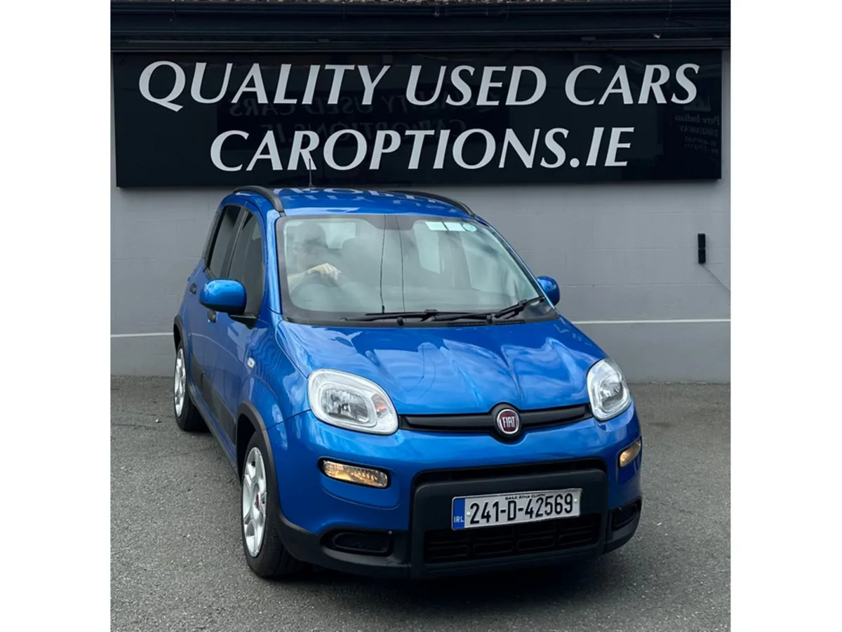 Fiat Panda MPV, Petrol, 2024, Blue