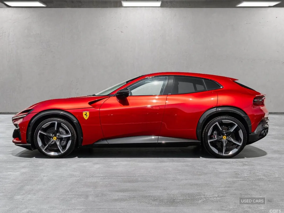 Other Other , Petrol, 2024, Red