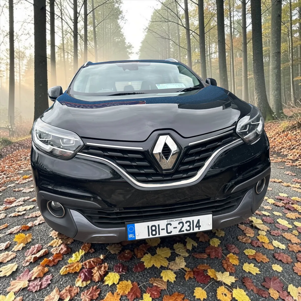 Renault Kadjar SUV, Diesel, 2018, Black