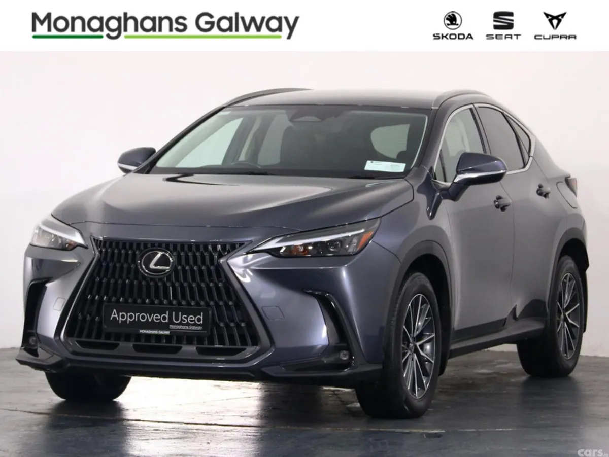 Lexus NX MPV, Petrol Plug-in Hybrid, 2023, Grey