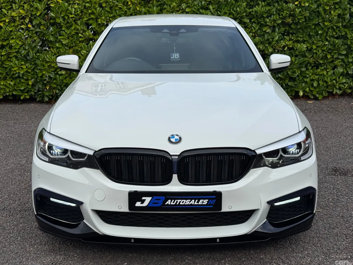 BMW 5-Series Saloon, Diesel, 2019, White