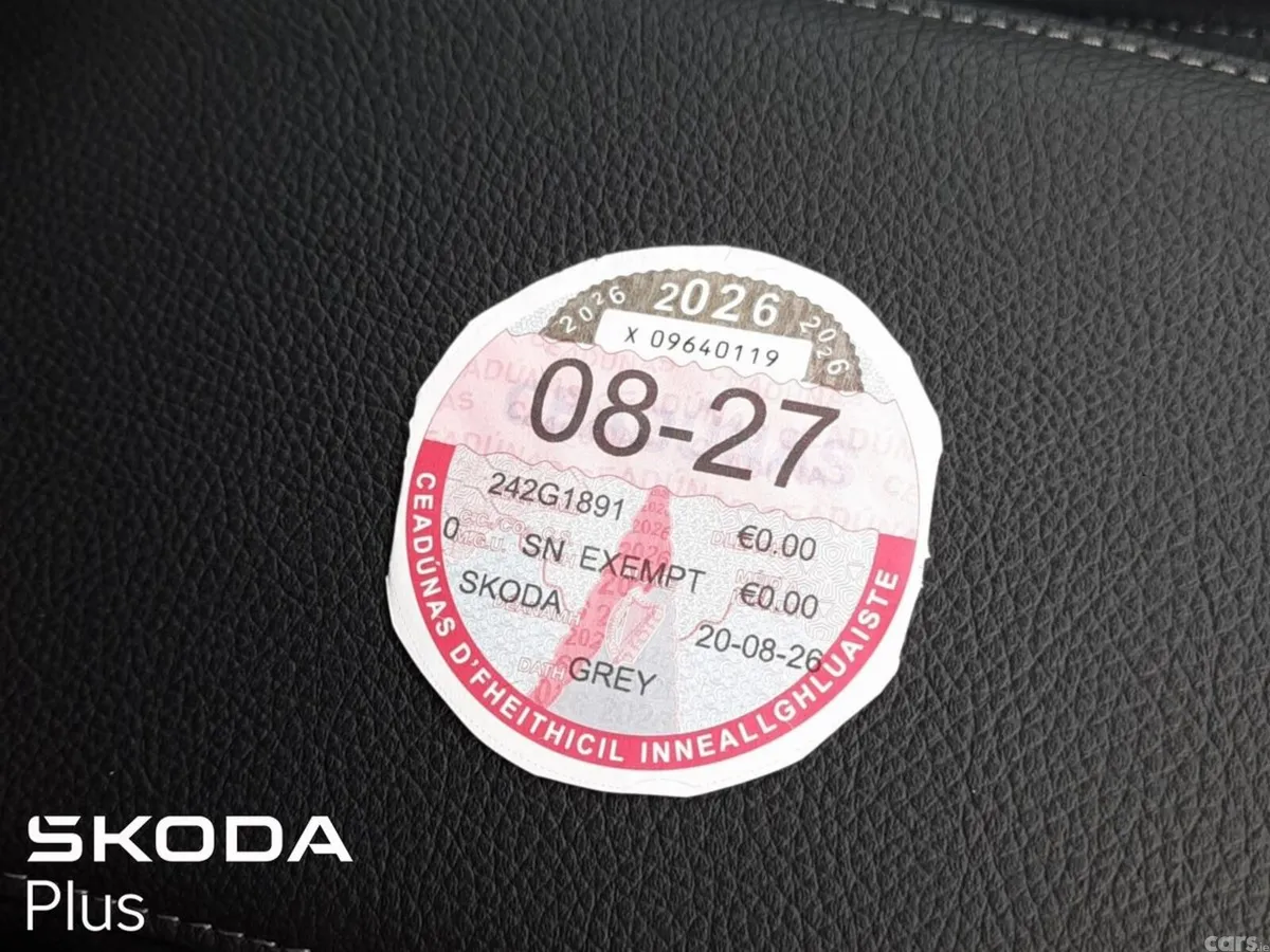 Skoda Kodiaq MPV, Diesel, 2024, Grey