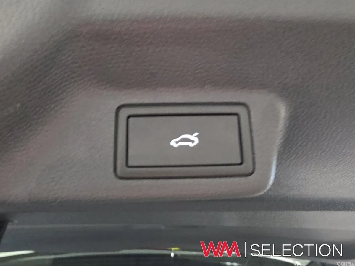 Volkswagen ID.Buzz MPV, Electric, 2026, Green