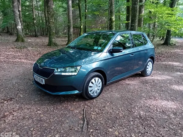 Skoda Fabia Hatchback, Petrol, 2019, Grey