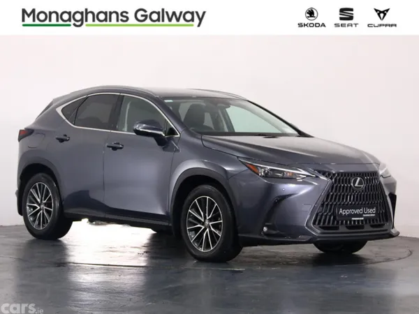 Lexus NX MPV, Petrol Plug-in Hybrid, 2023, Grey