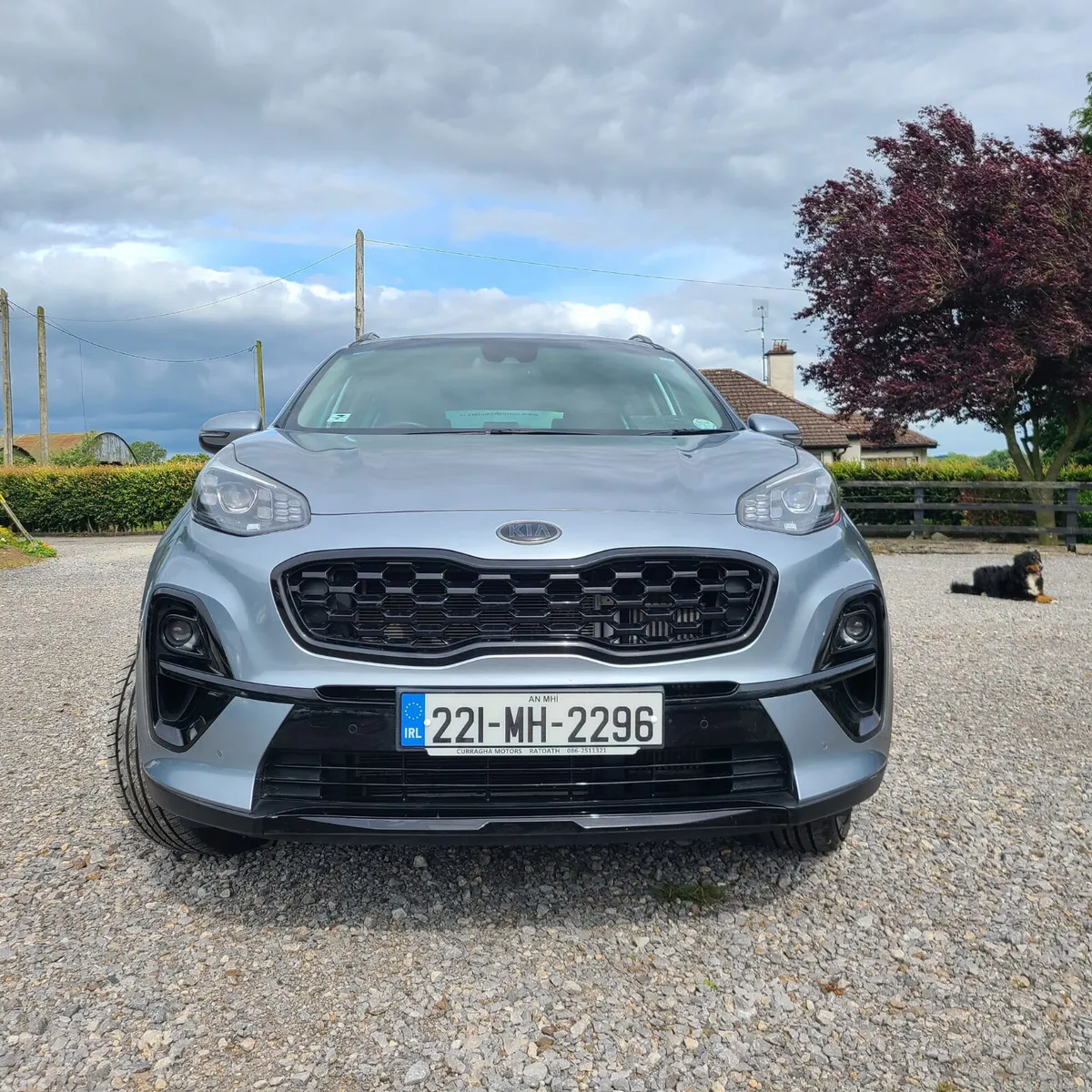 Kia Sportage SUV, Diesel Hybrid, 2022, Grey