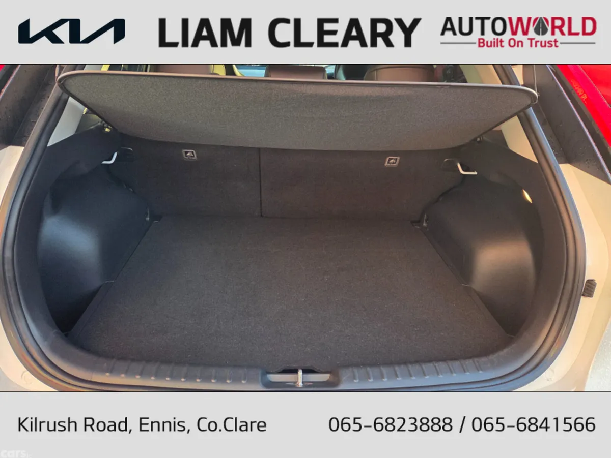 Kia Niro MPV, Electric, 2023, White