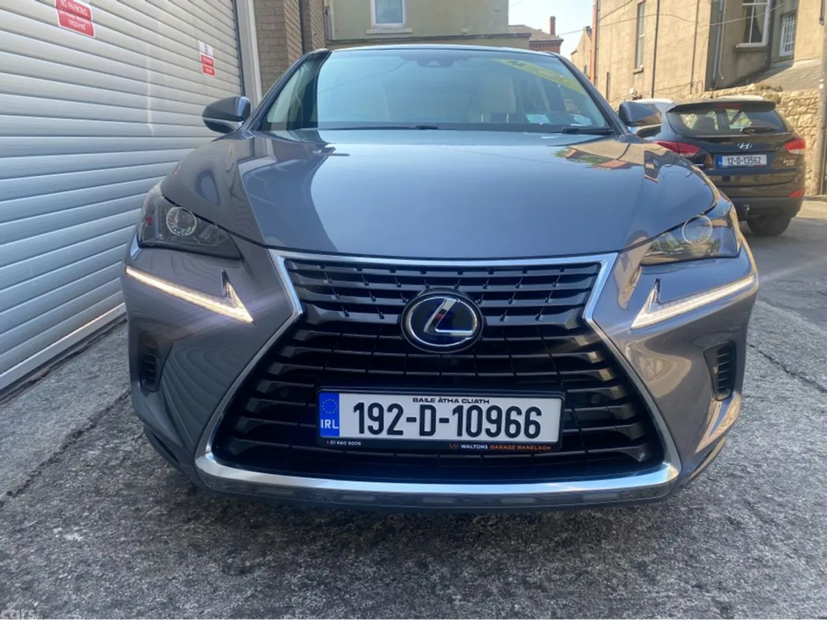 Lexus NX MPV, Petrol Hybrid, 2019, Grey