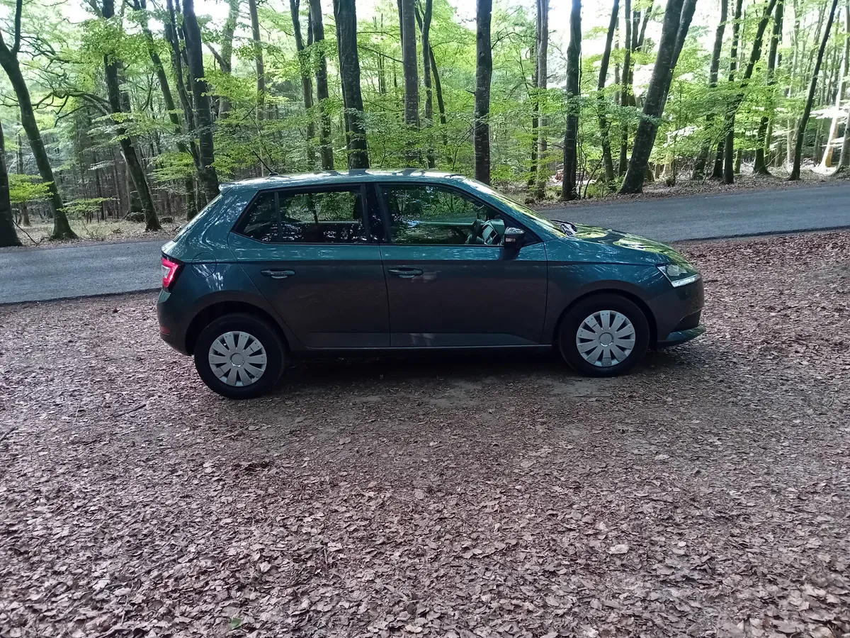 Skoda Fabia Hatchback, Petrol, 2019, Grey