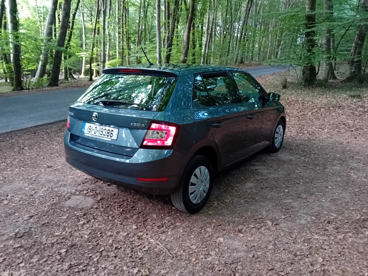 Skoda Fabia Hatchback, Petrol, 2019, Grey
