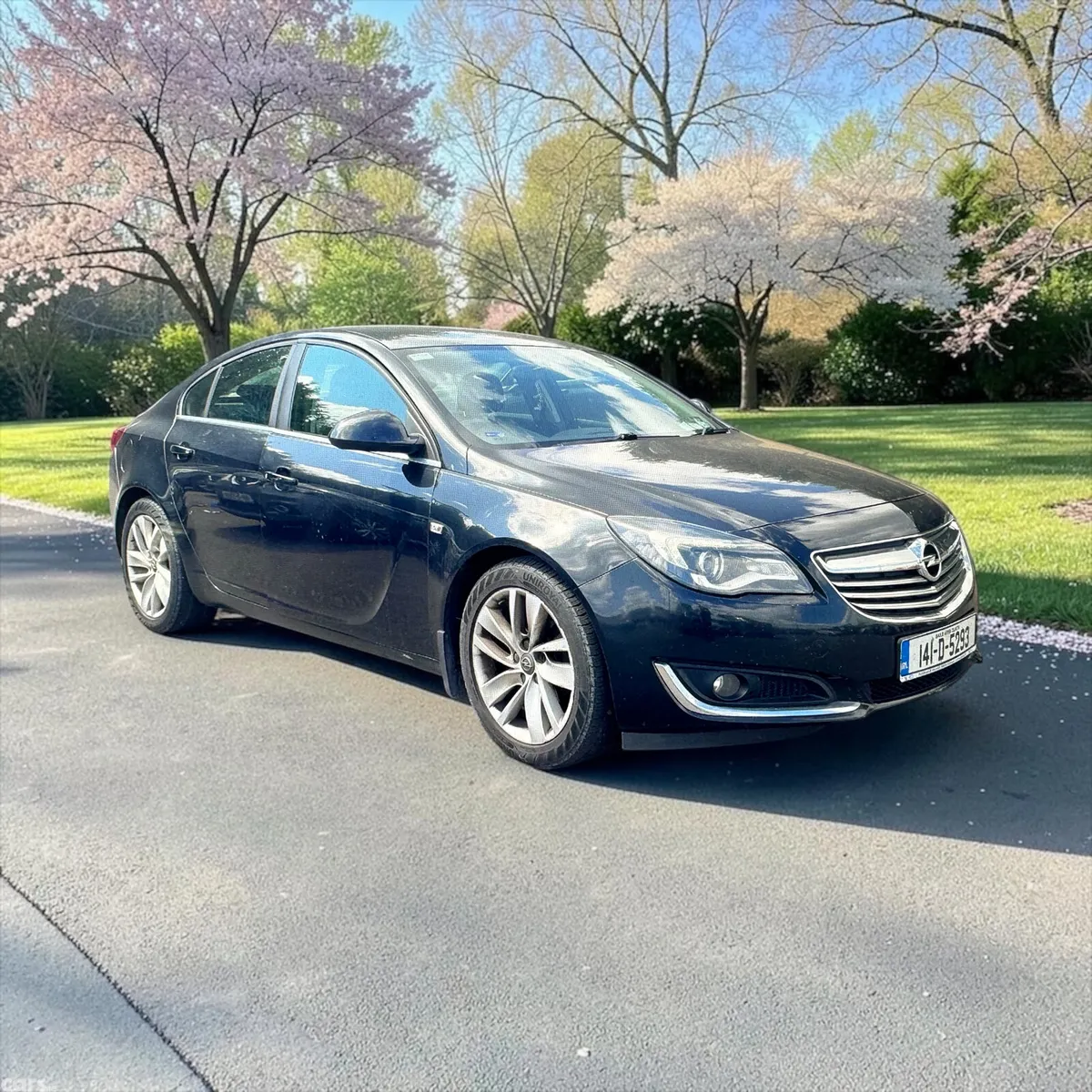 Opel Insignia Hatchback, Diesel, 2014, Black