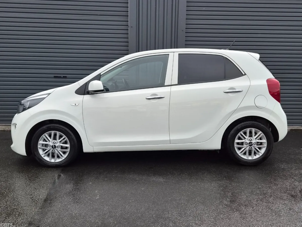 Kia Picanto Hatchback, Petrol, 2022, White