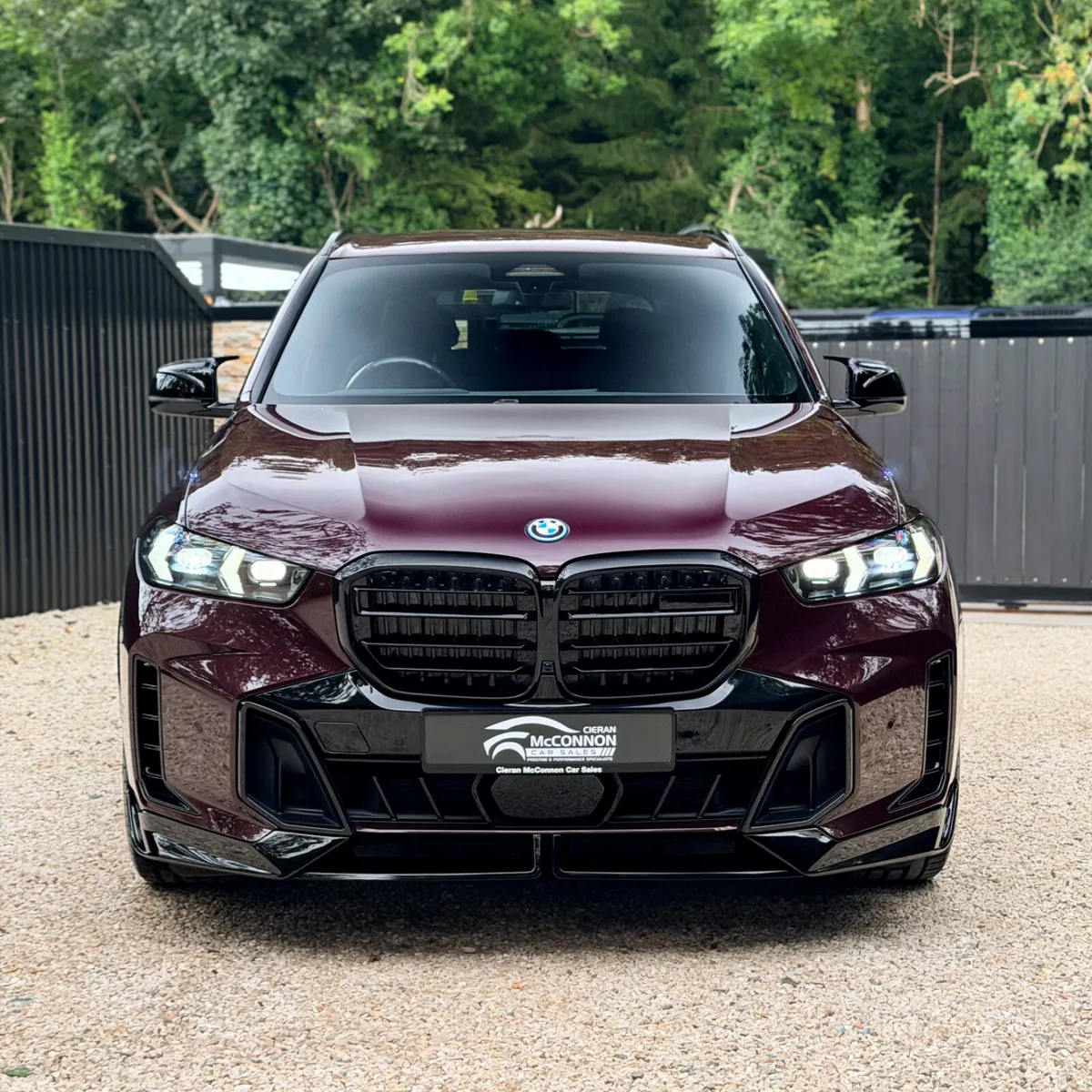 BMW X5 SUV, Petrol Plug-in Hybrid, 2023, Purple