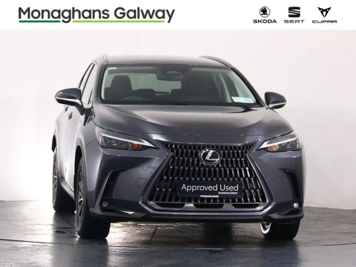 Lexus NX MPV, Petrol Plug-in Hybrid, 2023, Grey