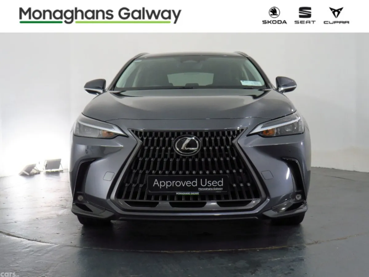 Lexus NX MPV, Petrol Plug-in Hybrid, 2023, Grey