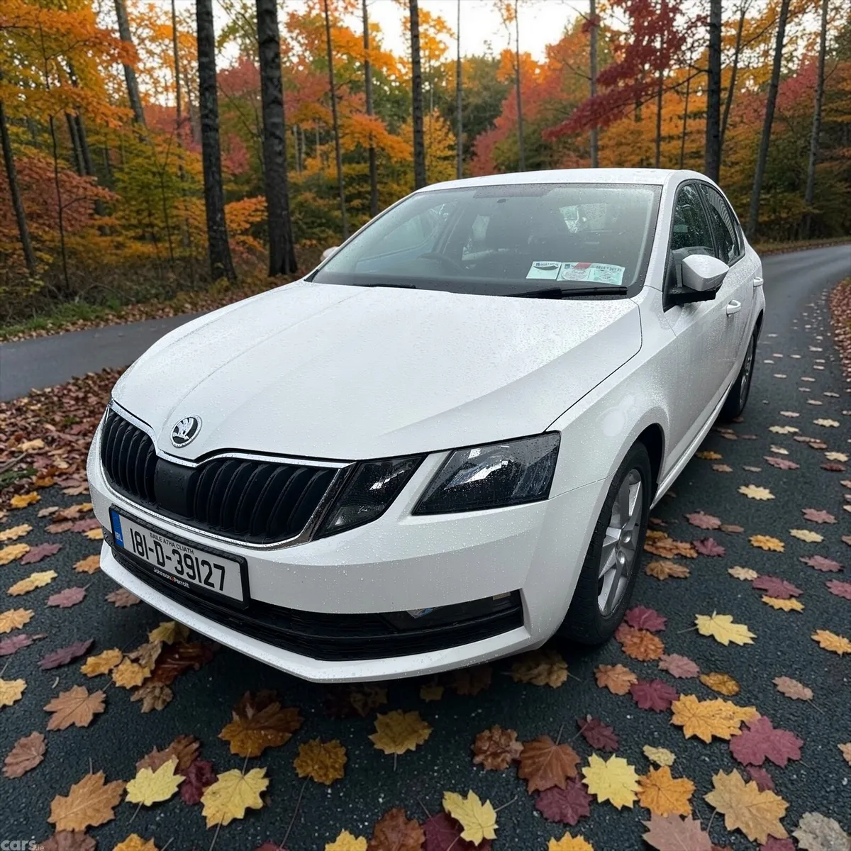 Skoda Octavia Saloon, Diesel, 2018, White