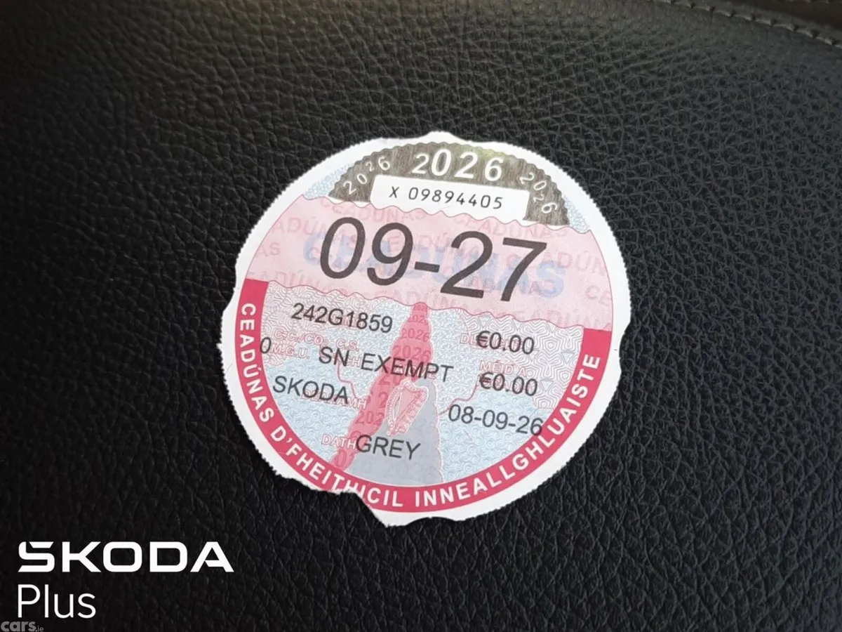Skoda Kodiaq MPV, Diesel, 2024, Grey