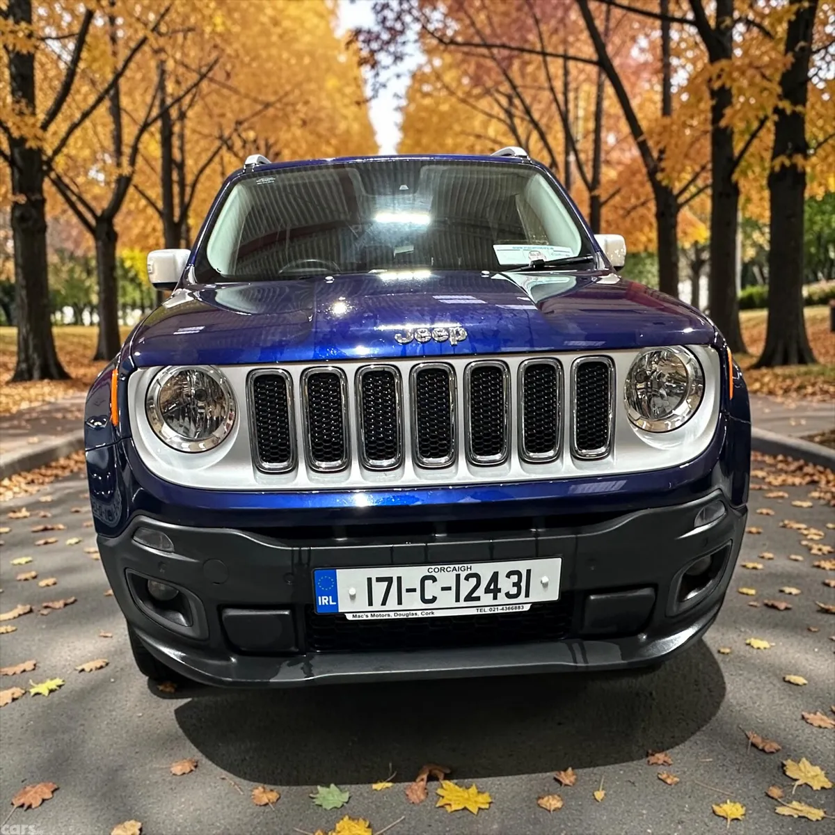 Jeep Renegade SUV, Diesel, 2017, Blue